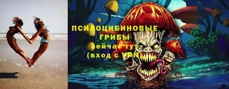 Галлюциногенные грибы Cubensis  Болхов 